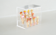 Sonny Angel Acrylic Display Case - Collector Case