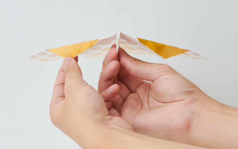 Papillon Origami Airplanes - Modern Pocket Carry